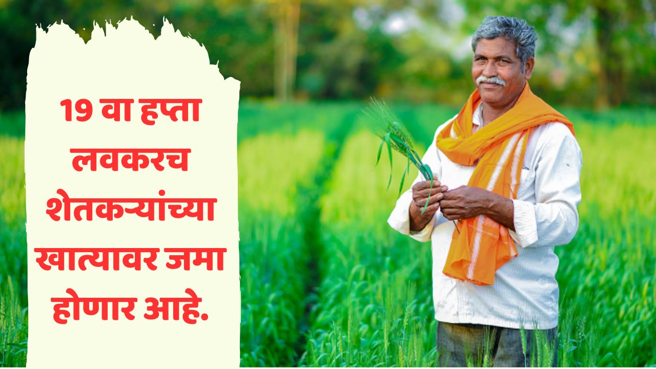 pm kisans scheme