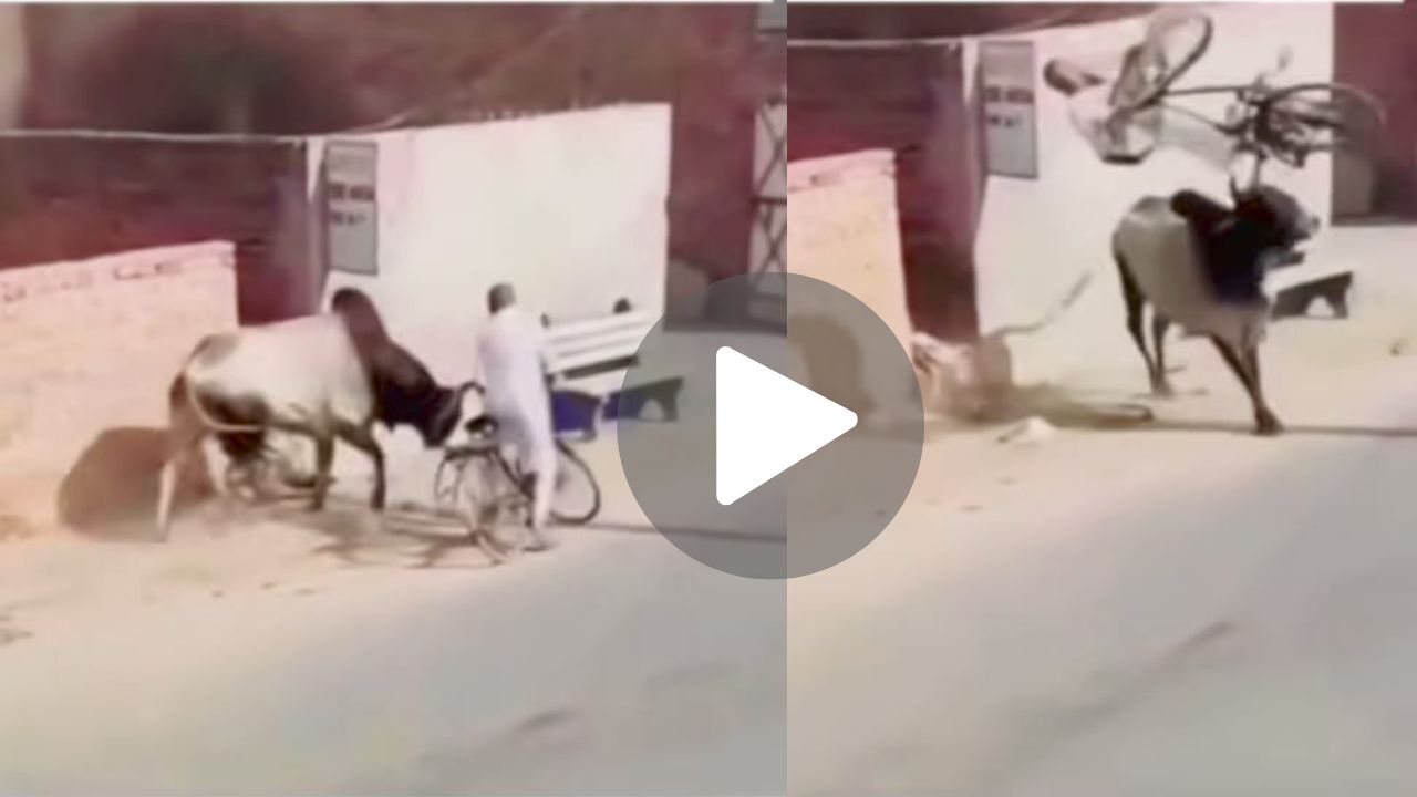 viral video