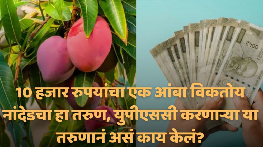 nanded mango news